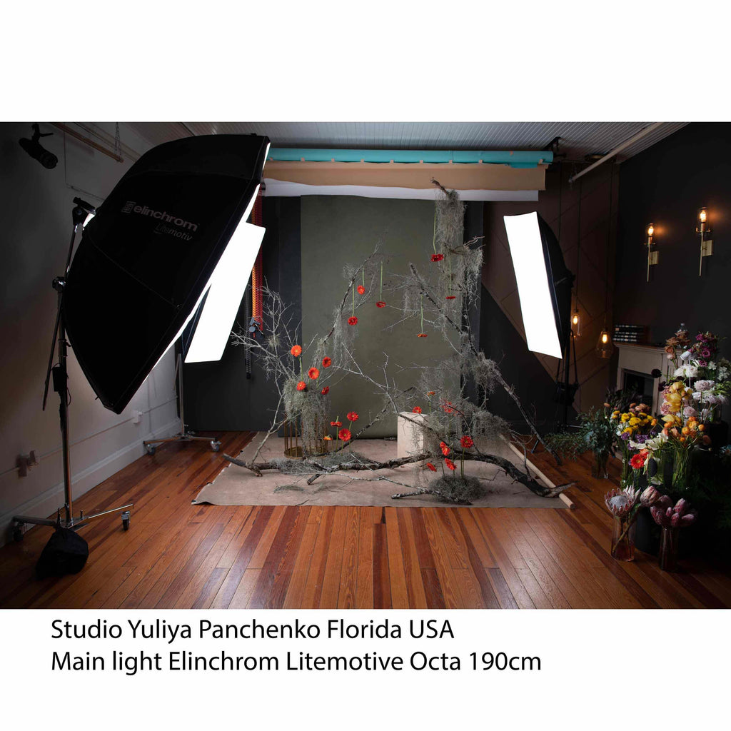 Elinchrom Litemotiv 190cm Octa Indirect