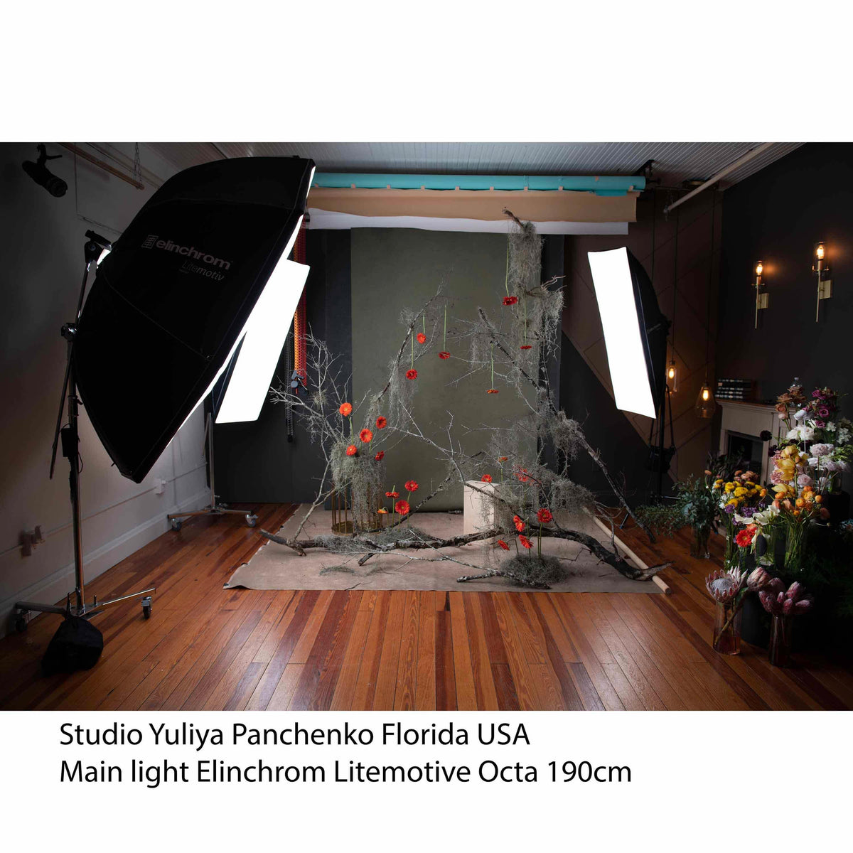 Elinchrom Litemotiv 190cm Octa Indirect