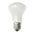 Elinchrom Modeling Lamp 196V 100W